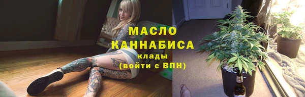 мяу мяу мука Гусь-Хрустальный