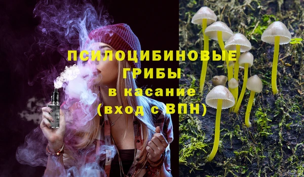 мяу мяу мука Гусь-Хрустальный