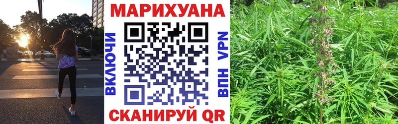 Канабис White Widow  Купить где  Зея 